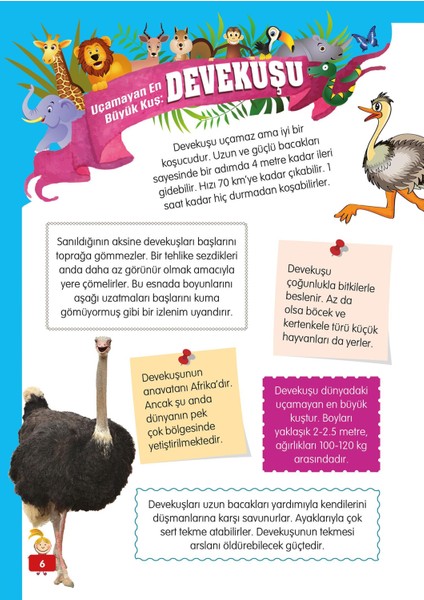 Hayvanlar Alemi 3 - Gökyüzündeki ve Denizdeki Dostlarımız - Mete Ulusoy indirimleri