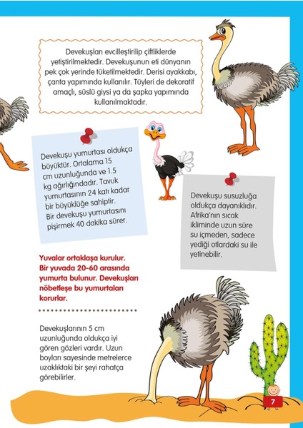 Hayvanlar Alemi 3 - Gökyüzündeki ve Denizdeki Dostlarımız - Mete Ulusoy