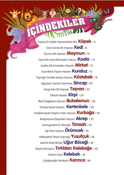 Hayvanlar Alemi 2 - Karadaki Küçük Dostlarımız - Mete Ulusoy modelleri