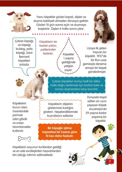 Hayvanlar Alemi 2 - Karadaki Küçük Dostlarımız - Mete Ulusoy