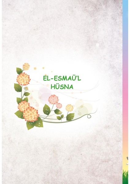 Bilgi Hazinem - Numan Nurullah Aras fırsatları