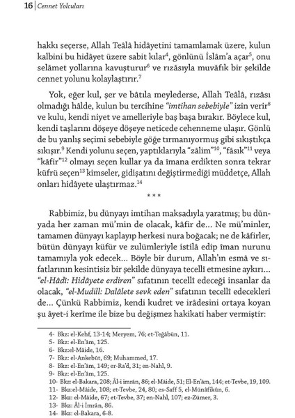 Cennet Yolcuları - Halime Demireşik