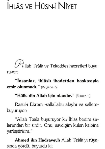 Hizmet İnsanı fırsatları