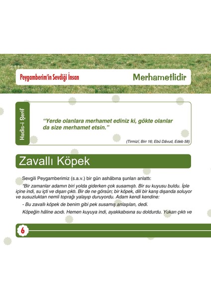 Peygamberimiz'in Dilinden Müslüman Şahsiyeti - Harun Kırkıl indirimleri