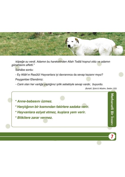 Peygamberimiz'in Dilinden Müslüman Şahsiyeti - Harun Kırkıl