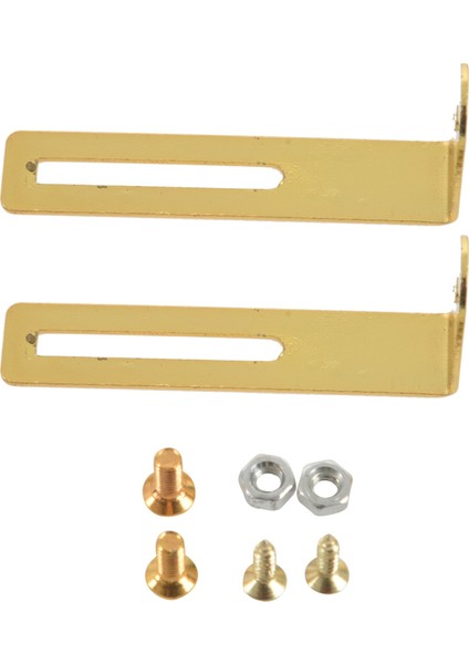 Gibson Les Için Pickguard Braket Montaj Vidaları Paul Electric Gitar Repalation (10 Paket) (Altın) (Yurt Dışından) modelleri