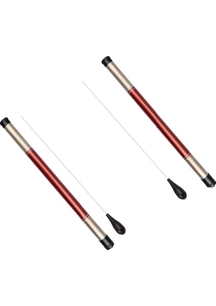 Baton Şef Baton Müzik Batonu Depolama Silindiri Abanoz Kollu Orkestra Batonu Müzik Batonu (Yurt Dışından)