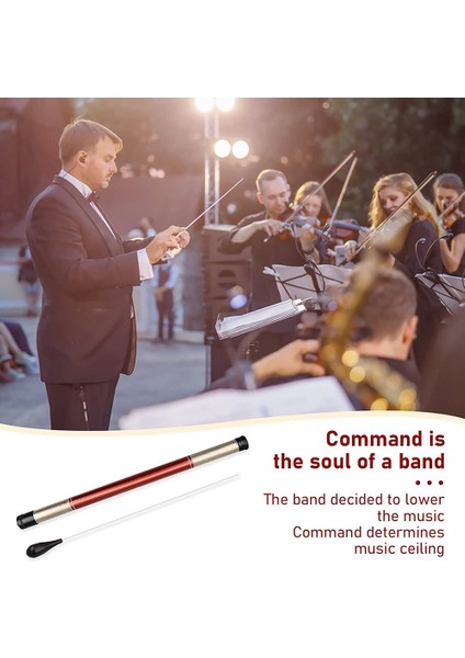 Baton Şef Baton Müzik Batonu Depolama Silindiri Abanoz Kollu Orkestra Batonu Müzik Batonu (Yurt Dışından) modelleri