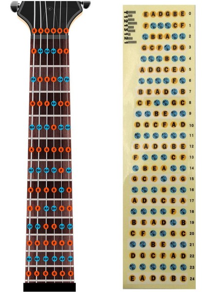 2 Pcs Gitar Köprü Not Çeşitleri Klepboya Frets Yeni Başlayan Öğrenci Uygulaması Için Harita Çıkartması Uyum 4 &amp 6strings Bas Gitar (Bas-Multicolor &amp Gitar-Multicolor) (Yurt Dışından) fırsatları