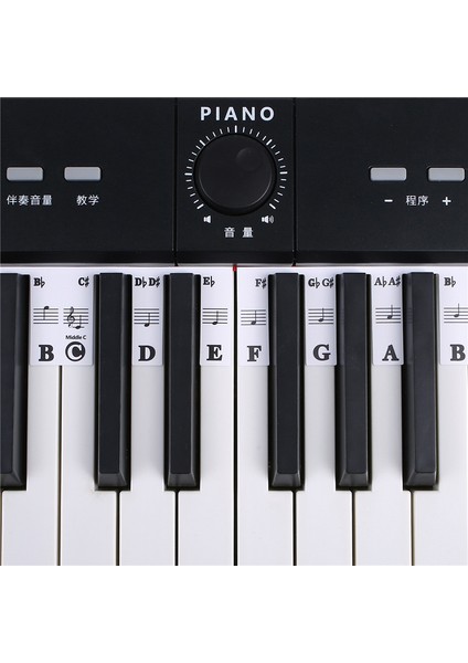 61 Anahtar Çıkarılabilir Piyano Klavye Çıkartmaları Stave Notasyon Not Şerit Çıkartmaları Yeni Başlayanlar Için Öğrenciler (Yurt Dışından) modelleri