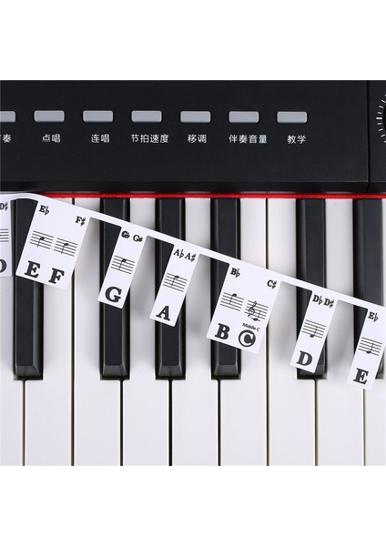 61 Anahtar Çıkarılabilir Piyano Klavye Çıkartmaları Stave Notasyon Not Şerit Çıkartmaları Yeni Başlayanlar Için Öğrenciler (Yurt Dışından) fırsatları