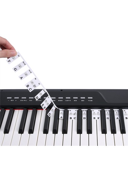 61 Anahtar Çıkarılabilir Piyano Klavye Çıkartmaları Stave Notasyon Not Şerit Çıkartmaları Yeni Başlayanlar Için Öğrenciler (Yurt Dışından) indirimleri