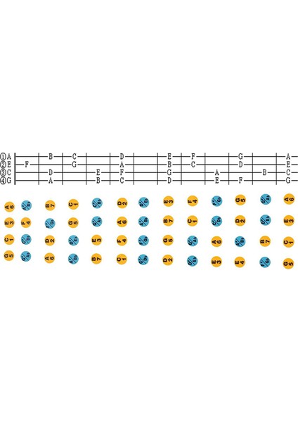 Ukulele Çıkartma Klavyesi Not Çıkartma Ukulele Yeni Başlayanlar Için 4pack (Yurt Dışından) modelleri