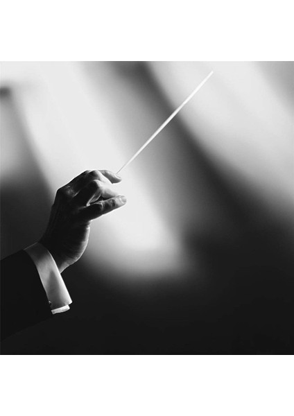 10X Müzik Iletken Batonlar Taklit Agate Sap Orkestrası Baton Müzik Batonları (Siyah) (Yurt Dışından) modelleri