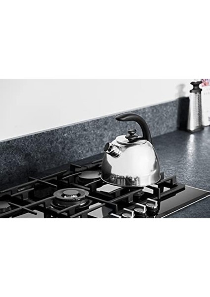 Paslanmaz Çelik Düdüklü Su Isıtıcı 2,5 Lt Çok Renkli fiyatları