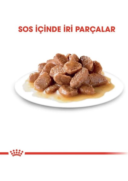 Sterilised37 Kısırlaştırılmış Kediler için Yaş Kedi Maması 85g+F128H128G128E128:G128H128G128D128:G128H128G128C127:G128D127:G128C127:G128H128G128B127:G128H128G128A127:G128B127:G128B128:G128