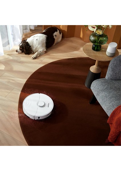 Midea S8+ Plus, Clıen T24, Thinkair RV50 Pro Yedek Aksesuarları Için Uygundur Aksesuarlar Yan Fırça (Yurt Dışından) fırsatları