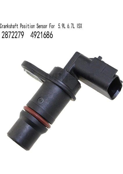 2872279 2pcs Dodge Ram Için Krank Mili Konum Sensörü 2500 3500 Cummins 5.9l 6.7l Isx Araç Otomatik Bölüm 4921686 (Yurt Dışından) indirimleri