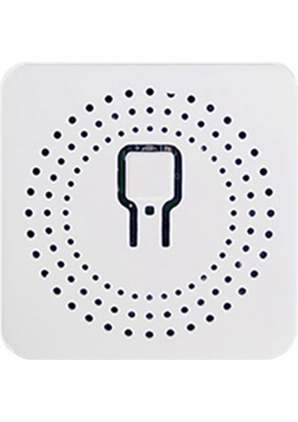 16A Wifi Bluetooth Çift Modlu Tuya Uygulama Uzaktan Kumanda Ses Kontrol Anahtarları (Yurt Dışından)