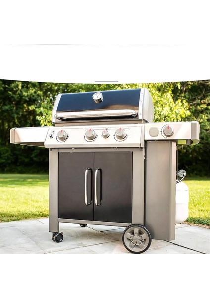 23080901 Doğal Gazdan Propana Dönüşüm Kiti (Yurt Dışından) fiyatları