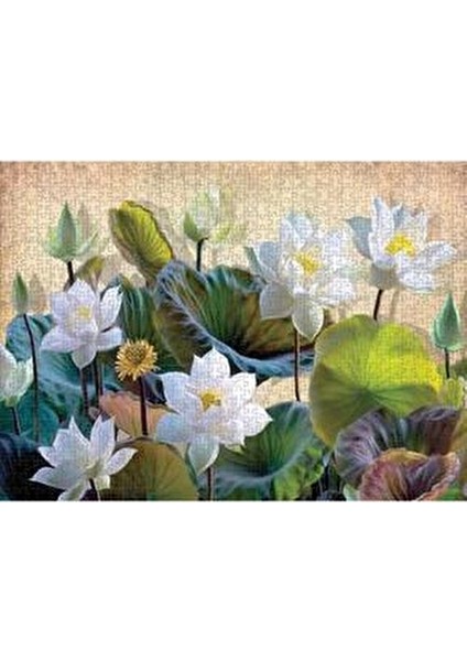 Nilüfer Çiçekleri Temalı 1000 Parça Puzzle 3+ Yaş Aralığı için Eğlenceli Zeka Geliştirici