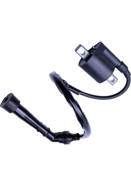 Yamaha Grizzly Için Motosiklet Ateşleme Bobini 660 YFM660 Yfm 350 2002 2003 2004 2005 2006 2007 2008 Ayı Izleyici Atv Parçaları (Yurt Dışından) fırsatları
