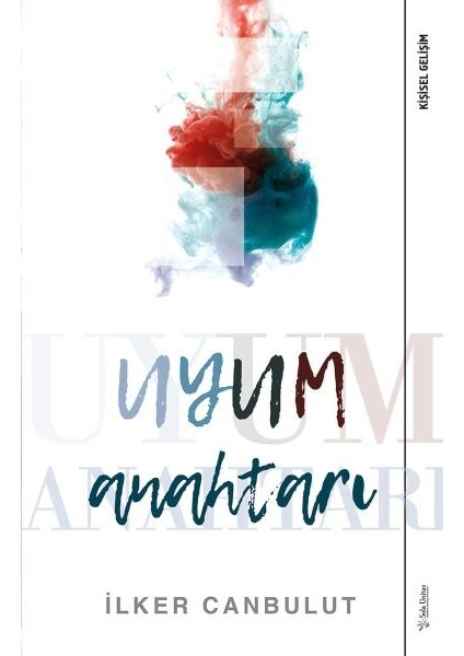 Uyum Anahtarı