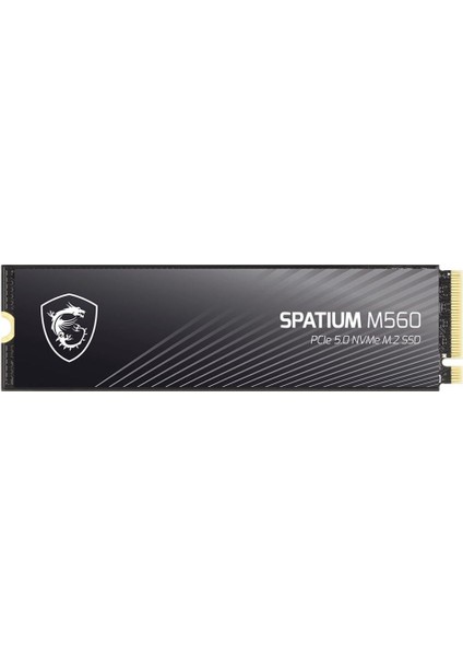 Msı Spatıum M560 Pcıe 5.0 Nvme M2 2tb fiyatları