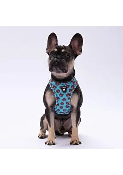 Bears Air-Mesh Göğüs Tasması Hafif Nefes Alabilir Kumaş 3XS Kedi ve Köpekler İçin