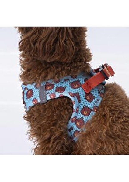 Air-Mesh Bears Köpek Göğüs Tasması Hafif Nefes Alabilir Kumaş XL Beden