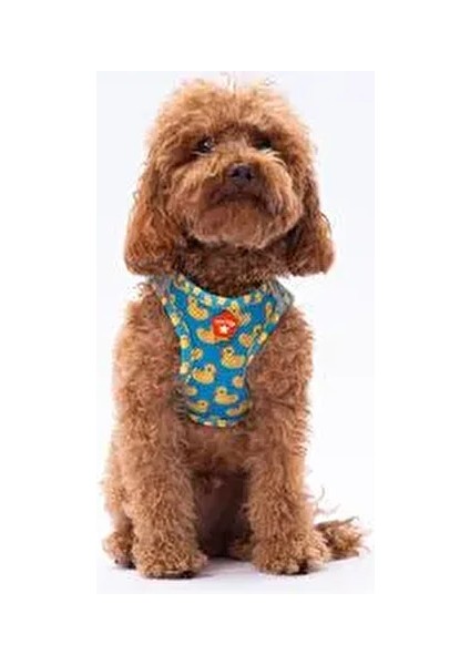 Ducks Air-Mesh Göğüs Tasması Hafif Nefes Alabilir Kumaşla XL Boyutunda