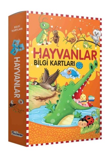 Bilgi Kartları - Hayvanlar
