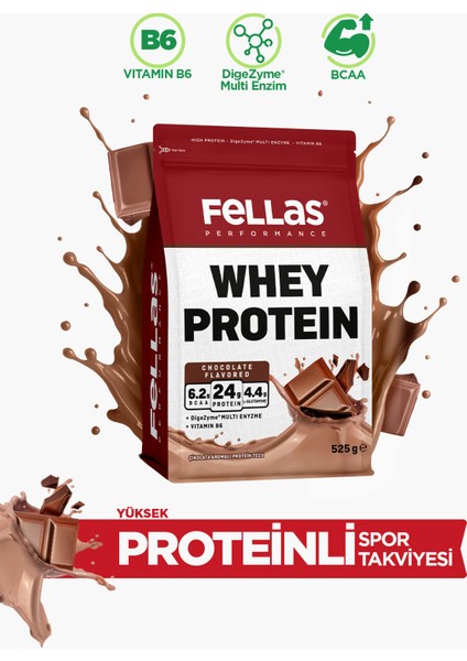 Whey Protein Tozu Çikolata Aromalı 525g