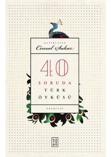 40 Soruda Türk Öyküsü - Cemal Şakar