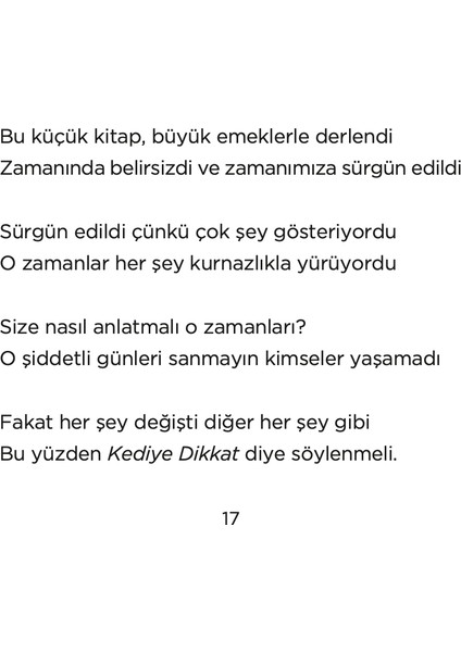 Kediye Dikkat - William Baldwin