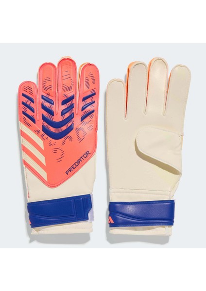 Predator Training Kaleci Eldiveni (JN5355)