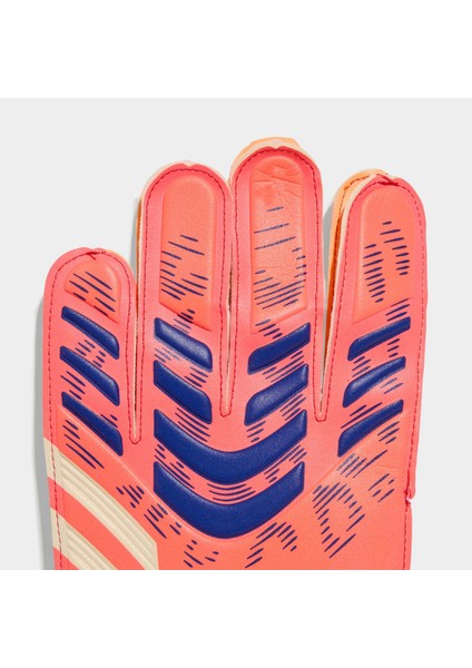 Predator Training Kaleci Eldiveni (JN5355) fiyatları