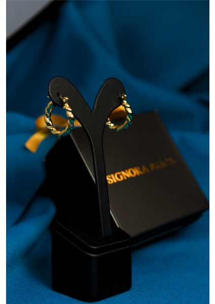 Burma/burgu Çiftli Kadın Çelik Halka Küpe fırsatları