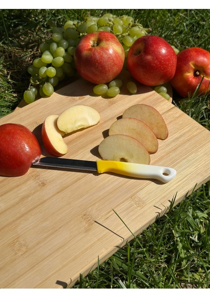 Ebruli Sarı Tırtıklı Meyve Bıçağı – 18,5 Cm, Paslanmaz Alman Çeliği, Ergonomik Sap (Tekli)