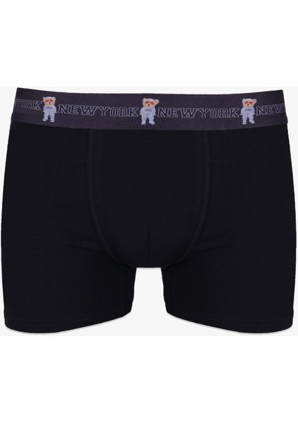 Erkek Tekli Pamuklu Boxer fiyatları