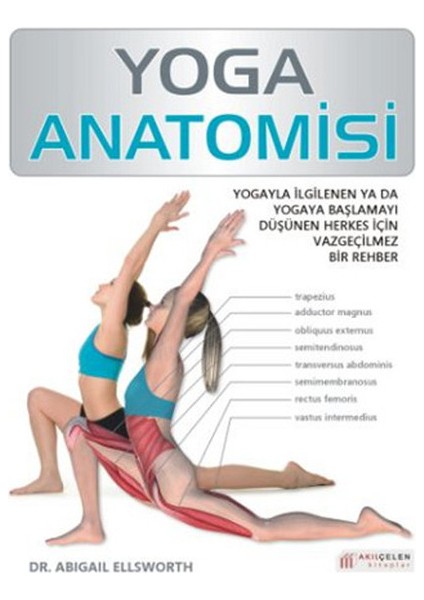 Yoga Anatomisi