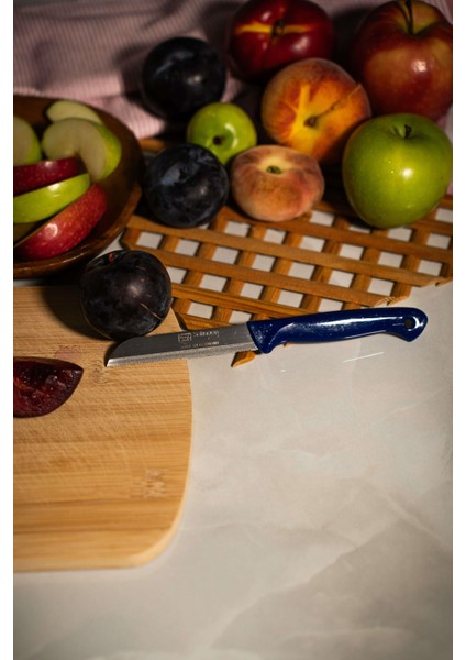 Simli Meyve Bıçağı – Mavi Saplı, 18,5 Cm, Paslanmaz Alman Çeliği (Tekli) fiyatları