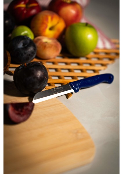 Simli Meyve Bıçağı – Mavi Saplı, 18,5 Cm, Paslanmaz Alman Çeliği (Tekli) modelleri