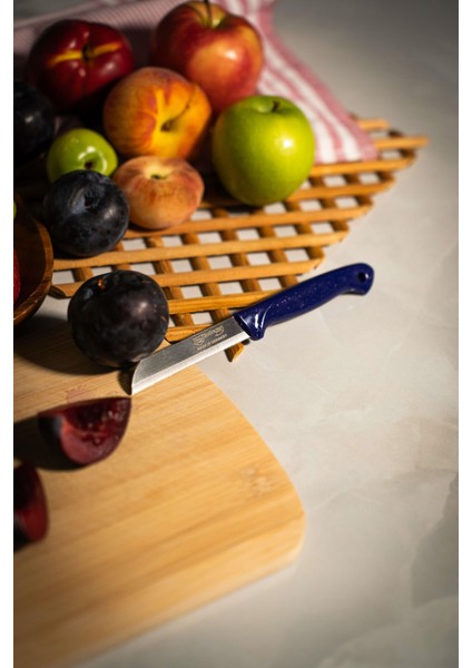 Simli Meyve Bıçağı – Mavi Saplı, 18,5 Cm, Paslanmaz Alman Çeliği (Tekli) indirimleri