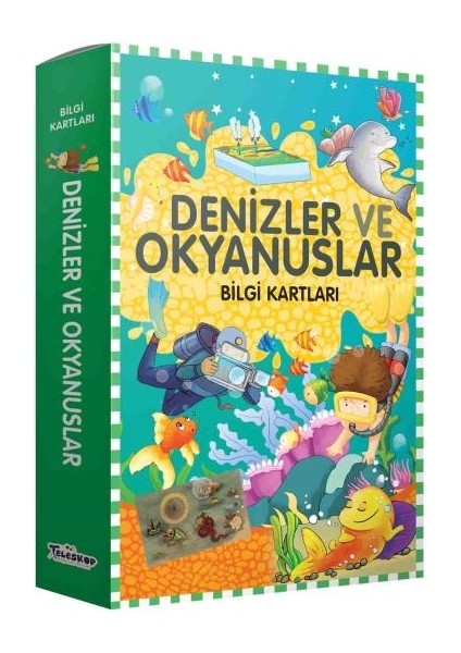 Bilgi Kartları - Denizler ve Okyanuslar
