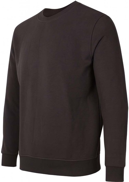 O Yaka 3 Iplik Şardonlu Antrasit Erkek Sweatshirt 5012 fiyatları