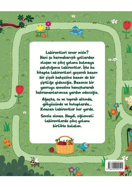 Eğlenceli Labirentler - Esma Genç fiyatları