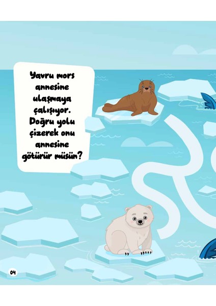 Eğlenceli Labirentler - Esma Genç fırsatları