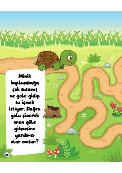 Eğlenceli Labirentler - Esma Genç