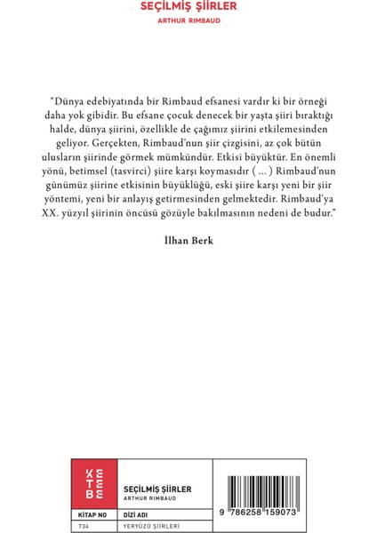 Seçilmiş Şiirler - Arthur Rimbaud fiyatları